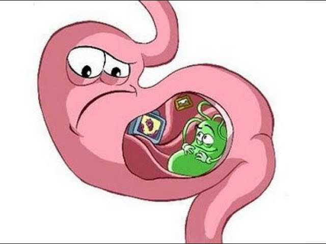 Бактерия в желудке